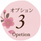 オプション6